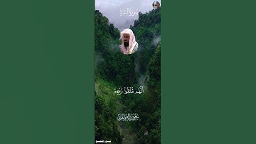وَٱسۡتَعِينُواْ بِٱلصَّبۡرِ وَٱلصَّلَوٰةِۚ [ سورة البقرة , ٤٥ - ٤٦ ] سعود الشريم  #قرآن