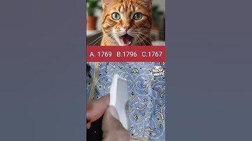 🎯 Only Genius Eyes Can Spot the Number in the Cat’s Shadow 😼 | #MindChallenge2025 #shorts