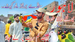 Lahore sunday birds market New update price 12-5-2024 #lahorientertainmentchannel