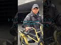 素人がペットショップで迎えてはいけない犬種。