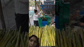गन्ने का गुड # farming# agriculture# amazing fact# trending# Technology#ytshorts# video