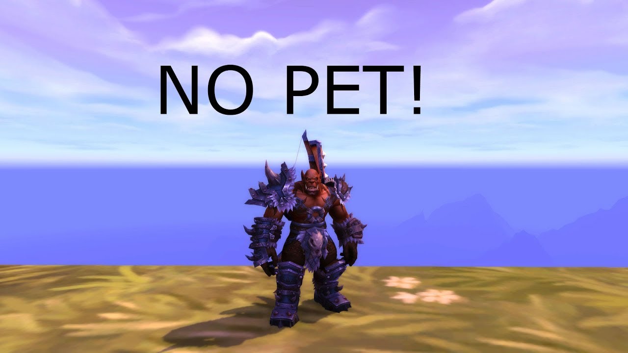 No pet challenge! Beast mastery hunter pvp 8.0.1 - YouTube