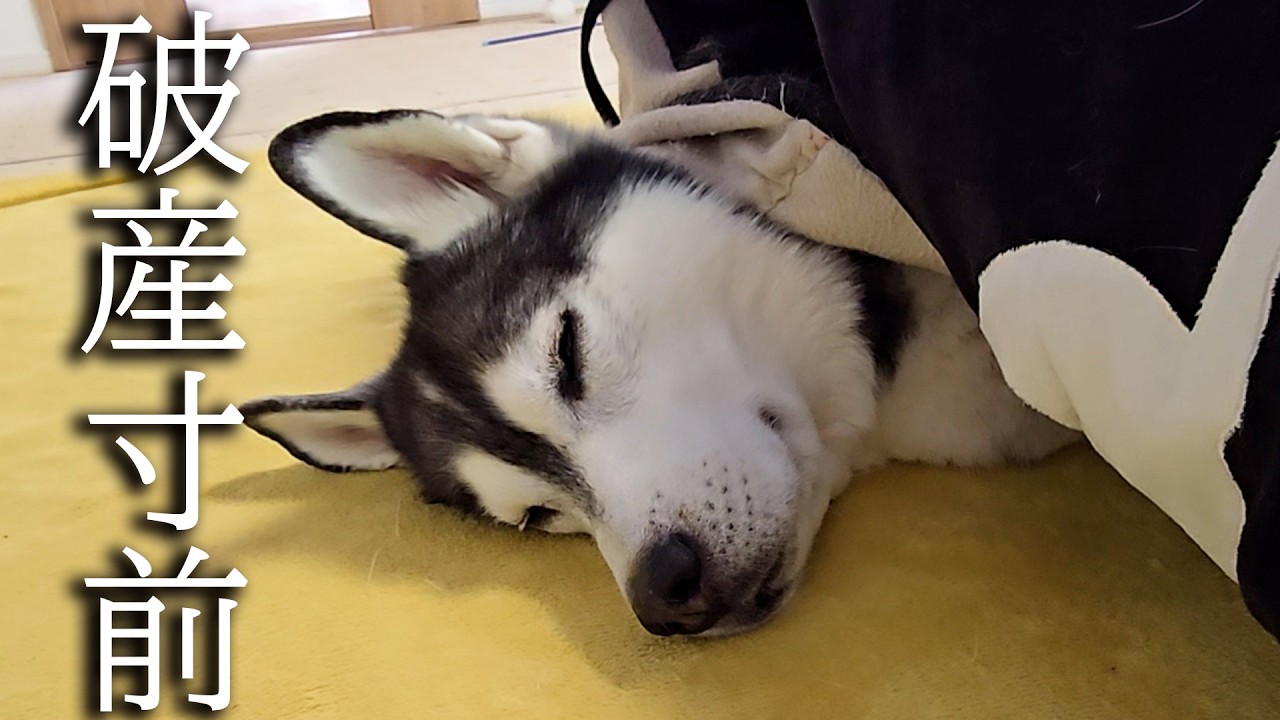 とうとう口座が凍結されちゃいました...