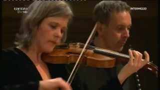 Christina PLUHAR "los pàjaros perdidos" : fandango chords