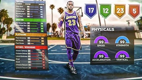 Best Slashing Playmaker OP Iso Lebron James Type Build