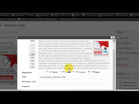 WordPress Basics: MANAGING WORDPRESS IMAGES