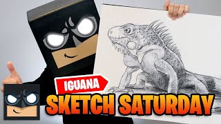 how to draw an iguana sketch saturday