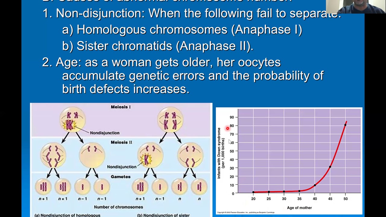 Meiosis Errors Chromosome Abnormalities Youtube