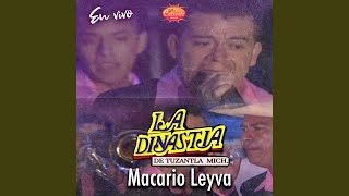 Macario Leyva (En Vivo)