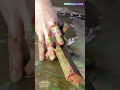 Amazing Hydro Dipping Transformation! White Ceramic Tree Turns Into a Colorful Christmas Tree