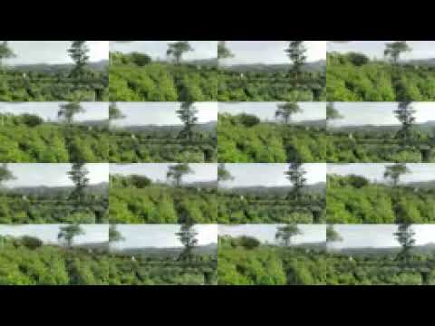 اجمل منظر حجه افلح اليمن جياح 