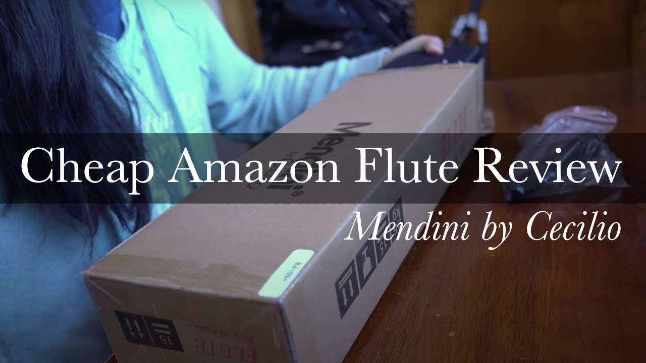 Cheap Amazon Flute Under 100 Review + Unboxing [Mendini by Cecilio