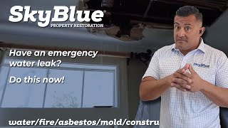 Celebrity When you have a water leak emergency here is what to do now - Sky Blue Restorations - 949 422 3419 Profile