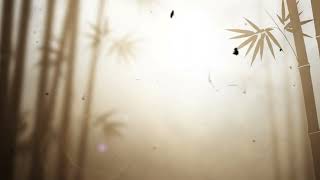 Drifting Into Stillness