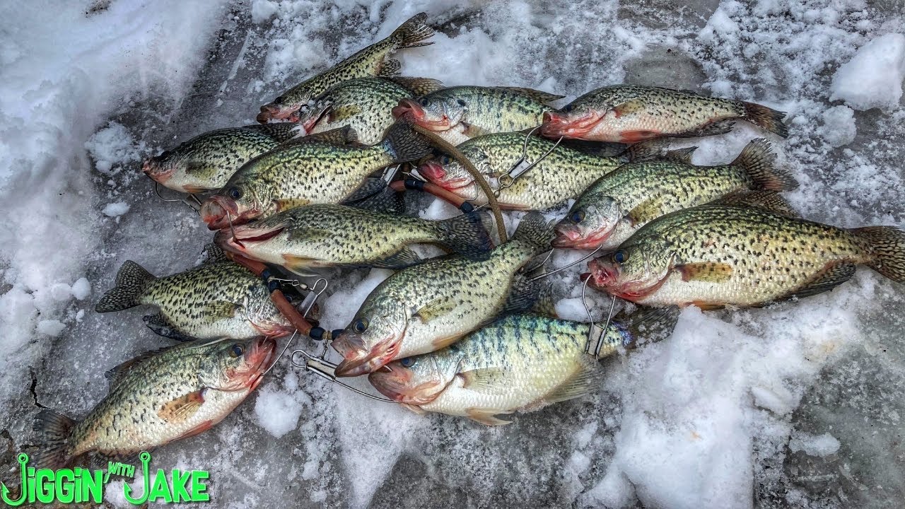 I Filled a Stringer FULL of CRAPPIE Using These Simple TIPS