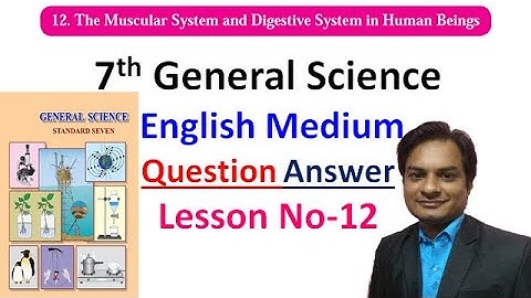 Exercise Lesson No 12- The Muscular System and Digestive System in Human Beings Class 7th G.Science