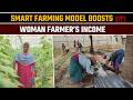 Tamil Nadu woman farmer adopts integrated model, blends organic and modern methods for income