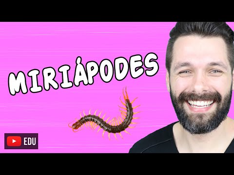 Vídeo: Os miriápodes têm asas?