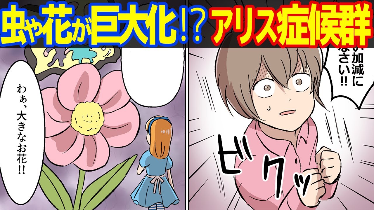 実話 幻覚を見る幼児 不思議の国のアリス症候群とは 漫画動画 Youtube