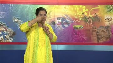 Social Science Lesson 10 Part 2 Climate and Weather