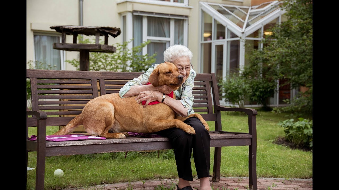 Vitanas Senioren Centrum Am Kloster