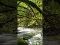 Slightly Off Course - Redwoods at Elk Prairie campground.  California