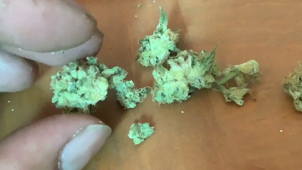 JACK CAKE - EMBER VALLEY - HIGHTIMES NORCAL Judging Kit 2021