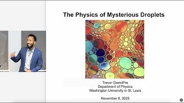 The Physics of Mysterious Cellular Droplets