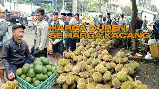 BANJIR DUREN, NANGKA, ALPUKAT DLL // info pasar
