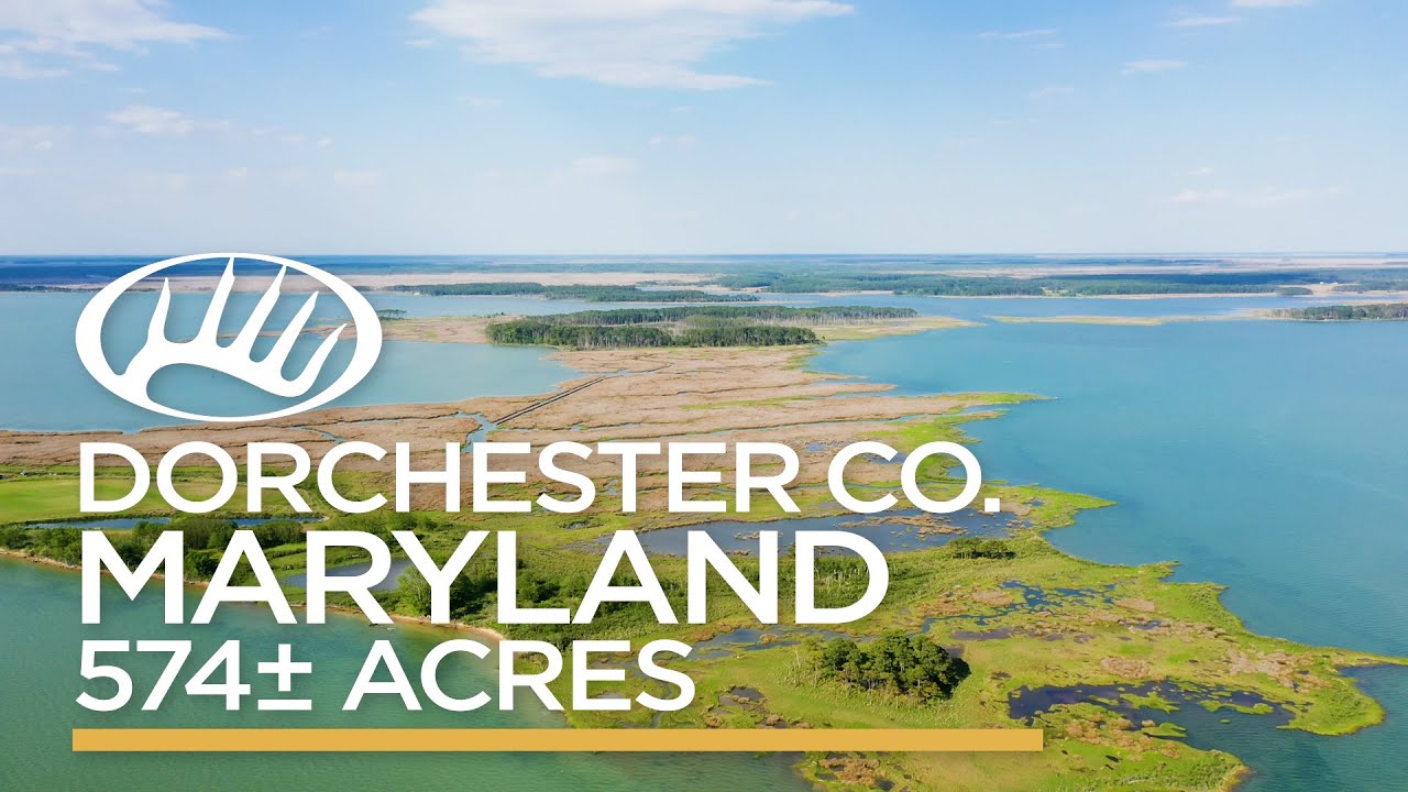 Dorchester County, MD 574± Acres YouTube