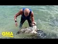 Man jumps into ocean to free an osprey tangled in a fishing line