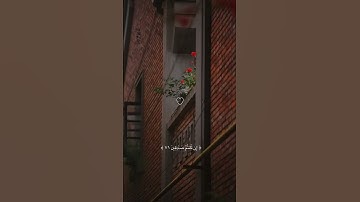 ولا تحزن عليهم ولا تكن في ضيق مما يمكرون القارئ إسلام صبحي