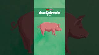 5 Farm Animals In German Learn German Vocabulary