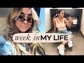 WEEK IN THE LIFE OF A SOCIAL MEDIA MANAGER | Julia Havens