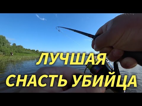 The ULTIMATE PERCH Rig. A KILLER Setup. Fishing