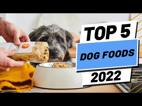 Video: URGENT: 2 Major Dog Food Brands Vydanie Recall