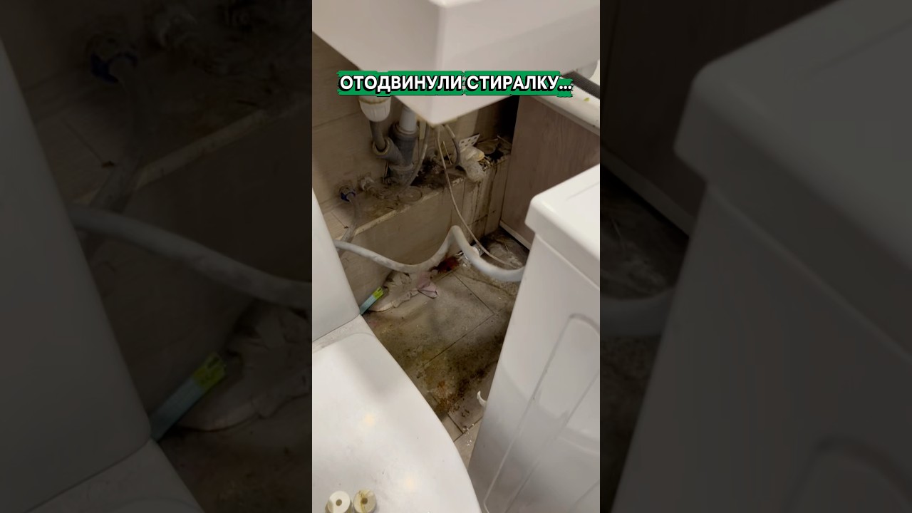 Спрей для ежедневной уборки: OZON: 560904816 WB: WW121593 