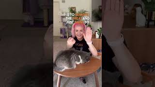#HowTo Train Your Cat ✨high five!✨