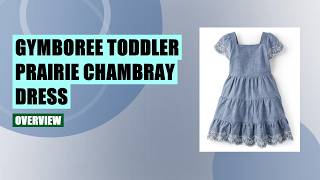 Gymboree Toddler Dress Review: Prairie Chambray Tiered Dress for 12-18 Months