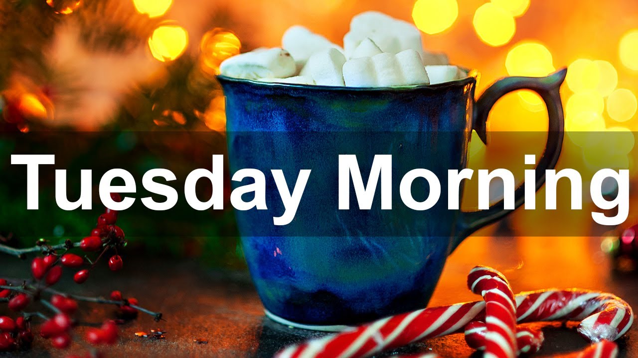 Download Tuesday Morning Jazz - Good Morning Jazz Bossa Nova for Coffee Drink