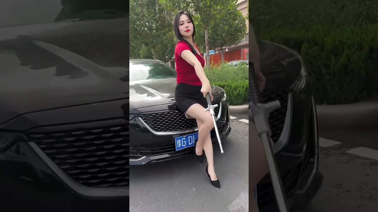 Car Essential: Fearless Outings with Dog Repellent Stick