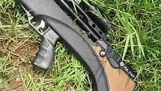 Bullpup Pulsar 360Cc