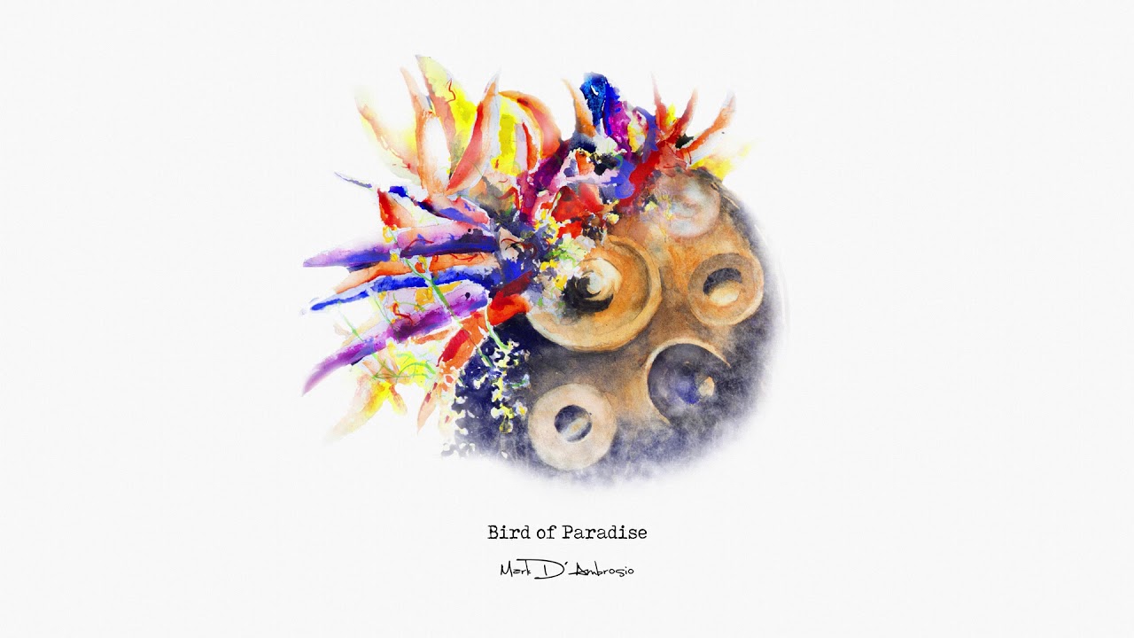 The Weevil - Mark D'Ambrosio (feat. Adam Maalouf)