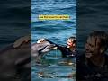 Dolphins Call Each Other by Name —And It’s Real #facts #ytshorts
