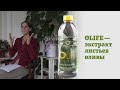 OLIFE — экстракт из оливковых листьев OLIVUM® от EvergreenLife (Италия)