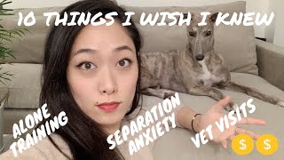 10 THINGS I WISH I KNEW BEFORE GETTING A DOG | RESCUE | GREYHOUND ADOPTION