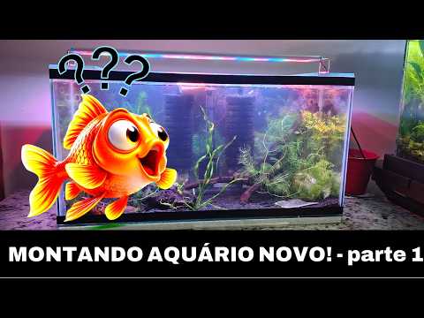 SURPRESAS - AQUÁRIO NOVO NA ÁREA! #aquarismo #aquário
