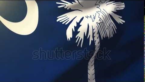 south carolina flag waving in the wind. Looping sun rises style. Animation loop Stock video by