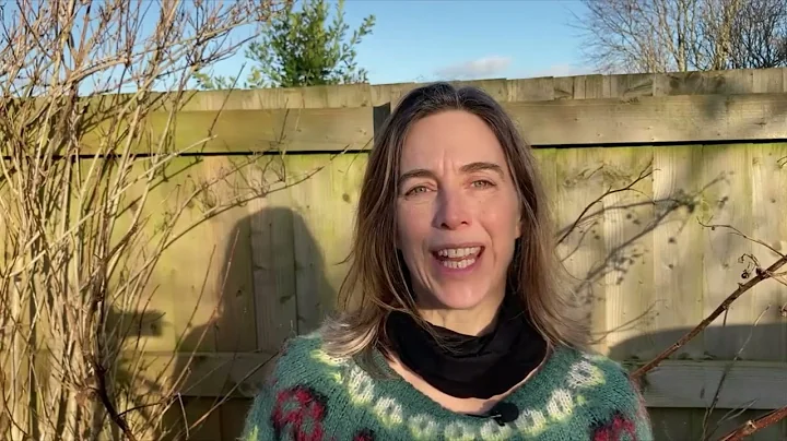 Happiness Hunt Artist Video Video for Care Homes: ...