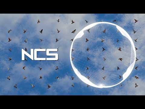 Silver Bullet - NOBODY ELSE | House | NCS - Copyright Free Music